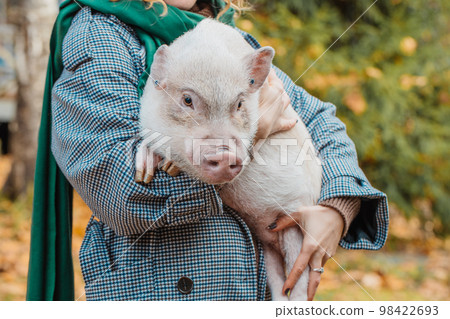 The girl in her arms holds a white mini-pig 98422693