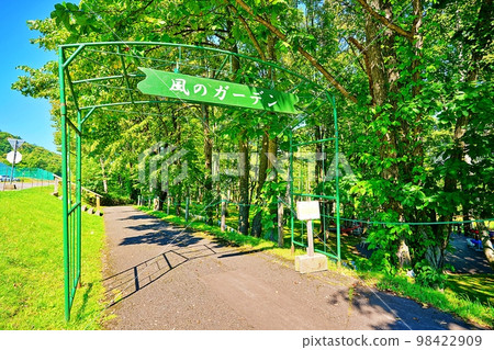 風之庭園（北海道富良野市） 98422909