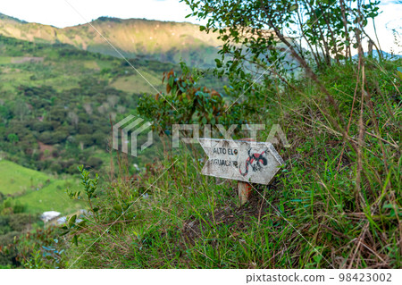 nature in the mountain landscape of Colombia 98423002
