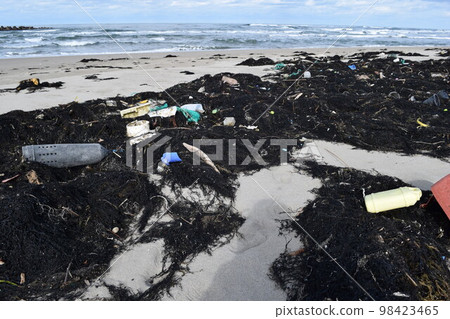 海邊的海藻和垃圾漂浮在海岸 98423465