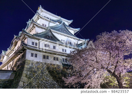 名古屋市 名古屋城和櫻花盛開的燈飾 98423557
