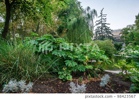 Amazing garden to Palais des Congres in Perpignan with Lebanese cedar and ponf and 98423567
