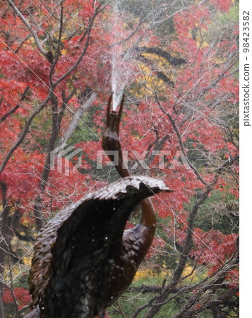 Autumn leaves of 2023 Hibiya Park 98423582