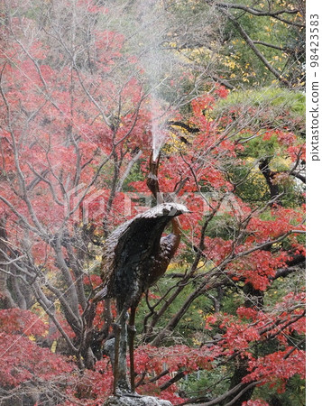 Autumn leaves of 2023 Hibiya Park 98423583