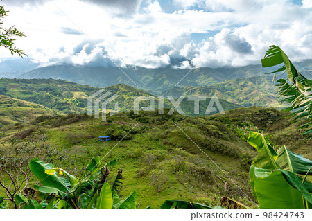 nature in the mountain landscape of Colombia 98424743