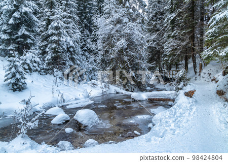 Snowy winter landscape with a wild stream. Snowy winter landscape with a wild stream. 98424804
