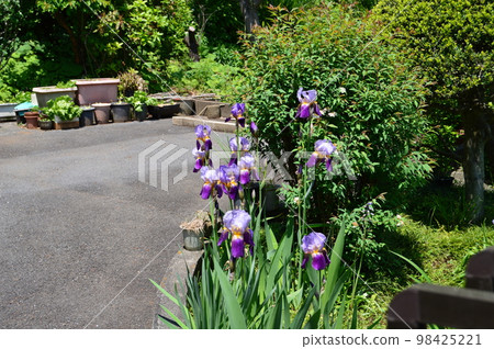 虹膜 虹膜 98425221