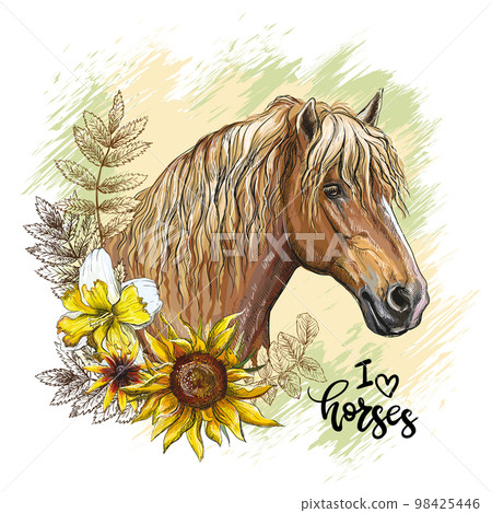 Portrait of a heawy draft horse and leaves vector illustration isolated 98425446