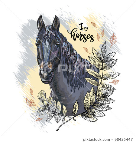 Portrait of a black horse and leaves vector illustration isolated 98425447