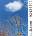 Cloud fish swimming in the blue sky 98425502