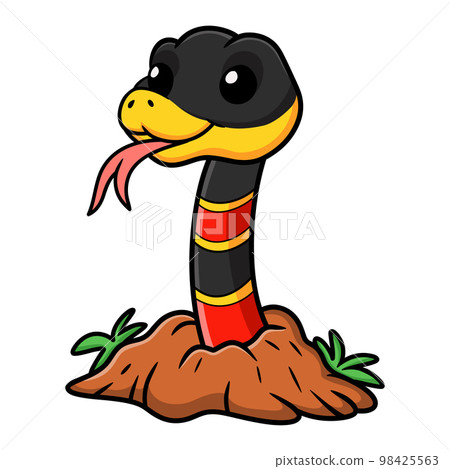 Cute happy coral snake cartoon out from hole 98425563