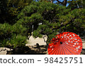 Pine tree and red Japanese umbrella 98425751