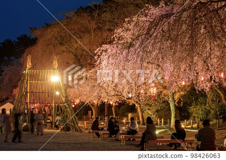 名古屋城繁華 名古屋城櫻花節 名古屋城繁華 名古屋城櫻花節 98426063