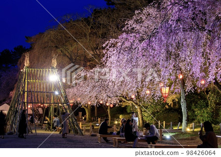 Nagoya Castle Bustling Nagoya Castle Cherry Blossom Festival 98426064