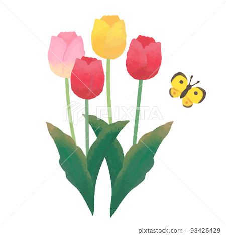 繪本風格的可愛鬱金香插畫 98426429