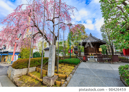 東京台東區淺草寺的六角堂和櫻花 東京台東區淺草寺的六角堂和櫻花 98426459