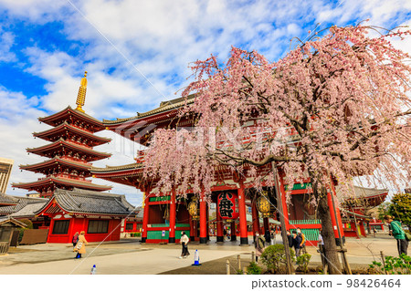 東京台東區淺草寺和盛開的櫻花 東京台東區淺草寺和盛開的櫻花 98426464