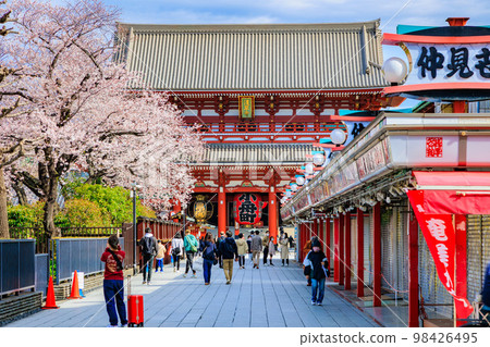 Tokyo Taito Ward Sensoji Temple and cherry blossoms in full bloom 98426495