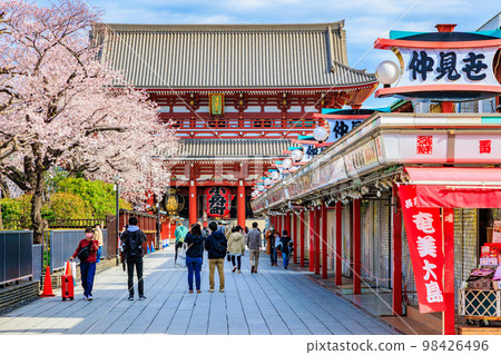 東京台東區淺草寺和盛開的櫻花 98426496