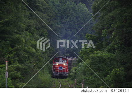 Yamaguchi Line near Niho DL Yamaguchi DD51 98426534