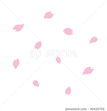cherry blossom petals. SakuraFubuki. cherry blossom petals. SakuraFubuki. 98426708