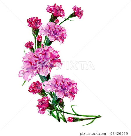 bow carnation bouquet bow carnation bouquet 98426959