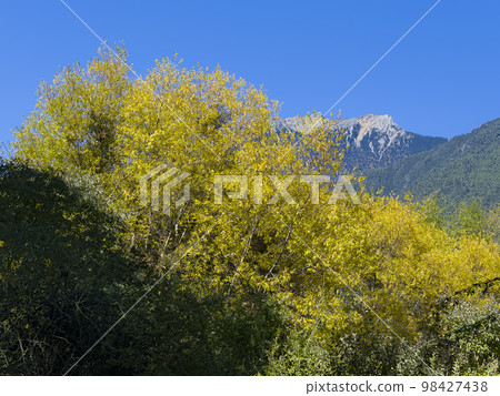 Xianggelila, China 98427438