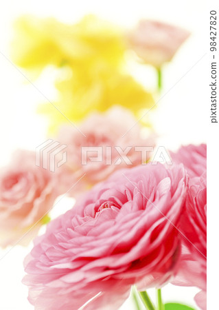 Bright gorgeous pretty pink and yellow flowers in the image of spring 98427820