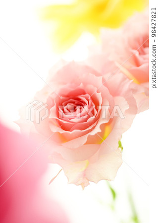 Bright gorgeous pretty pink and yellow flowers in the image of spring 98427821