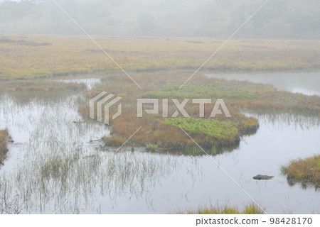 Yatsushima Marshland Nagano Prefecture Kirigamine Plateau Yatsushima Marshland Nagano Prefecture Kirigamine Plateau 98428170