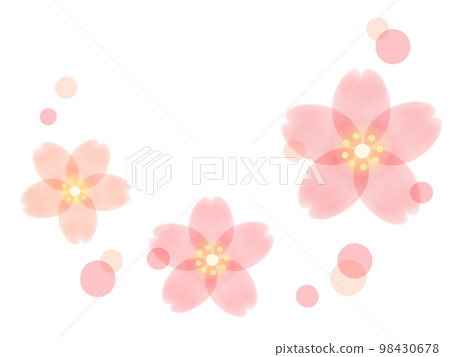 Cherry blossom light color stamp material illustration Cherry blossom light color stamp material illustration 98430678