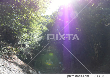 傾盆大雨中的光球 傾盆大雨中的光球 98431009