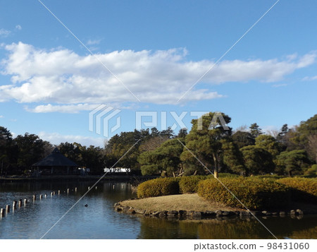 千葉公園 Menuchiike 中之島上一棵修剪整齊的松樹 千葉公園 Menuchiike 中之島上一棵修剪整齊的松樹 98431060