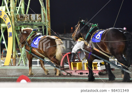 Banged horse race 98431349