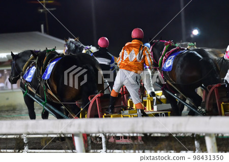 Banged horse race 98431350