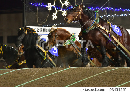 Banged賽馬 98431361
