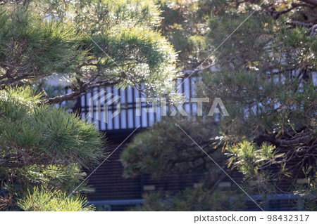 Wooden fittings seen through the pine trees 98432317