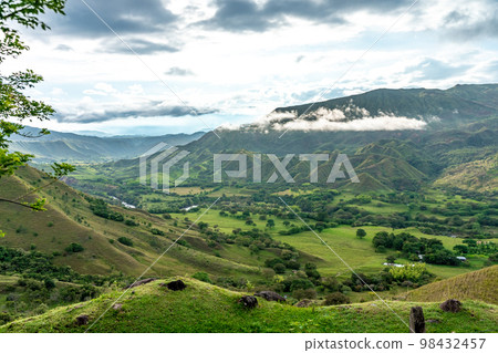 nature in the mountain landscape of Colombia 98432457
