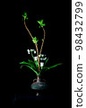 Ikebana 98432799