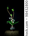 Ikebana 98432800