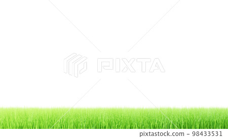 草坪背景圖像。春天，夏天的背景圖像。草地，草，自然。 (巴新) 98433531