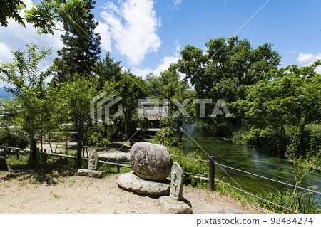Azumino, Nagano Prefecture Clear stream and wasabi garden in early summer 98434274