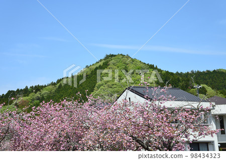 安之之裡公園 2022-4-23 #12 98434323