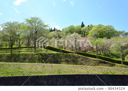 安之之裡公園 2022-4-23 #13 98434324