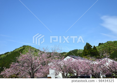 安之之裡公園 2022-4-23 #14 98434325