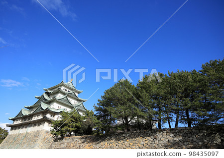 Nagoya Castle (Aichi) 98435097