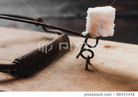 A piece of meat in a mousetrap. Bait for mice. Catch a mouse. A piece of meat in a mousetrap. Bait for mice. Catch a mouse. 98435348