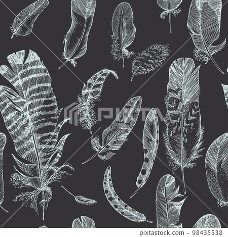 Seamless pattern of bird feather on chalkboard background Realistic sketch . Detailed ink Line pen Clip Art, Black and White Boho Clipart. Hand Drawn engraving style plume. Vintage Vector Illustration 98435538