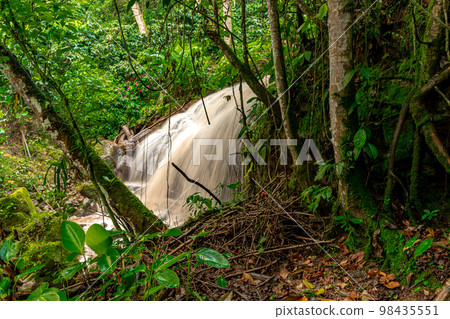 waterfall with rain water in the rain forest 98435551