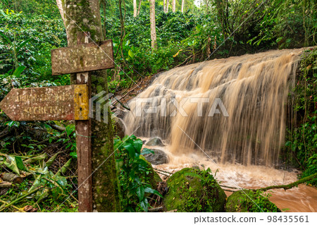 waterfall with rain water in the rain forest 98435561